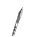 1.webp