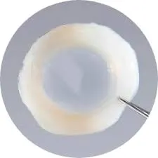 CorneaGen Irradiated Full Thickness Whole Moon Cornea With Rim (16.0mm)