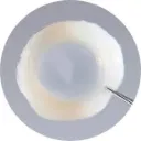 CorneaGen Irradiated Full Thickness Whole Moon Cornea With Rim (16.0mm)