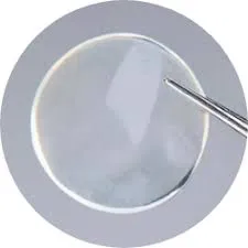 CorneaGen Irradiated Full Thickness Whole Moon Cornea Without Rim (16.0mm)