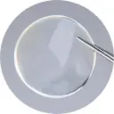 CorneaGen Irradiated Split Thickness Whole Moon Cornea (9.0mm)