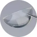 CorneaGen Irradiated Split Thickness Half Moon Cornea (9.0mm)