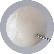 CorneaGen Irradiated Scleral Patch Sterile (10mm x 10mm)